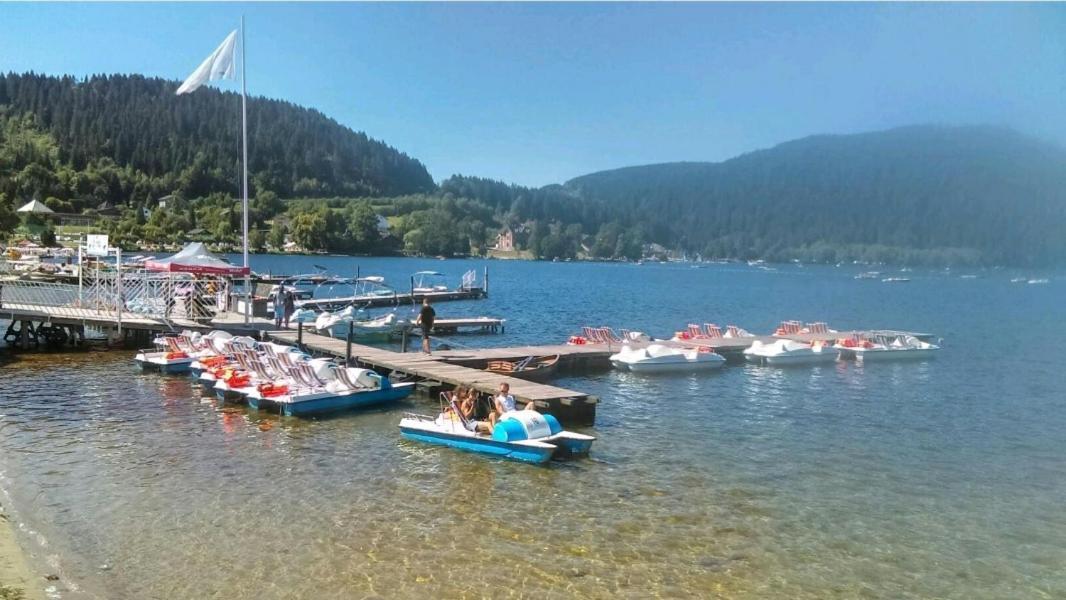 Appartement La Perle au bord de la rivière à Gérardmer Extérieur photo