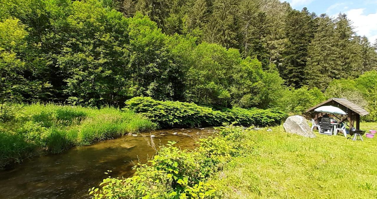 Appartement La Perle au bord de la rivière à Gérardmer Extérieur photo