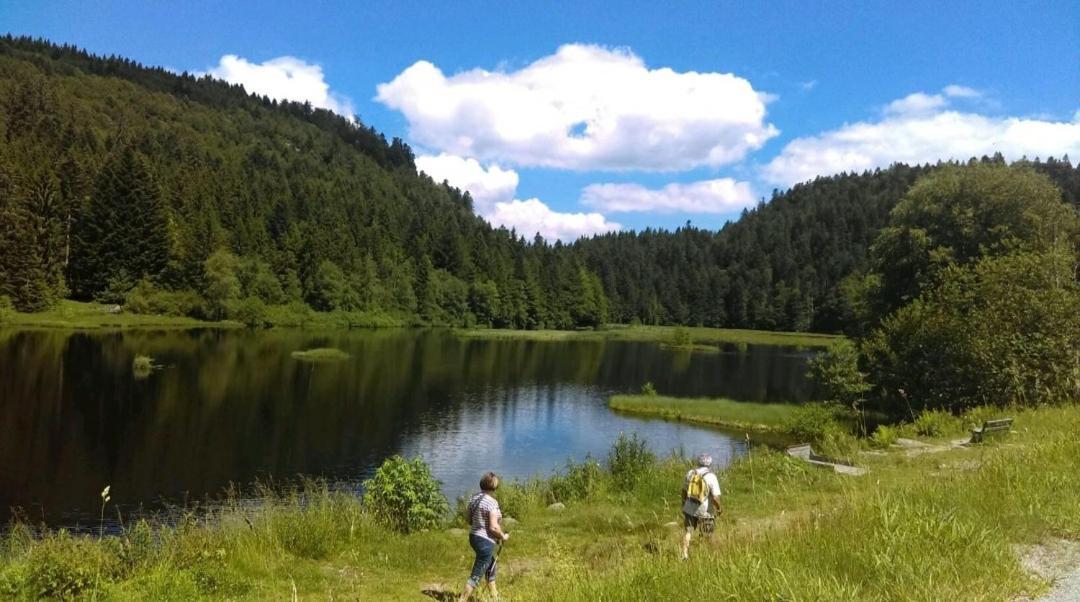 Appartement La Perle au bord de la rivière à Gérardmer Extérieur photo