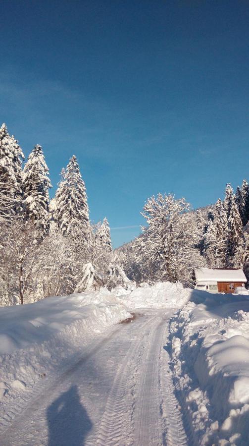 Appartement La Perle au bord de la rivière à Gérardmer Extérieur photo