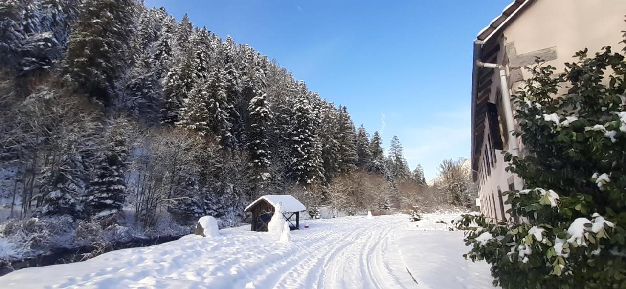 Appartement La Perle au bord de la rivière à Gérardmer Extérieur photo